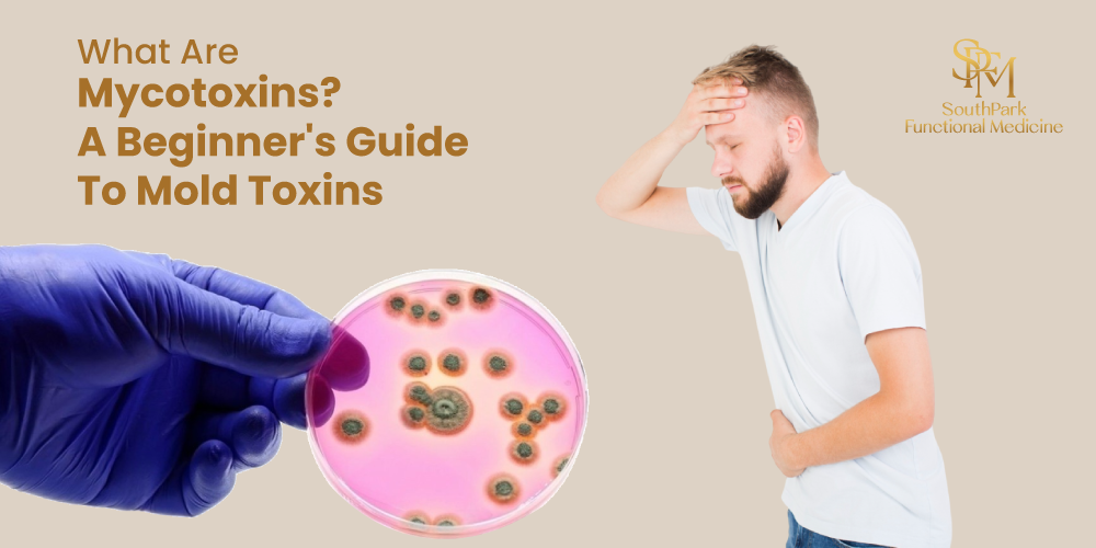 What Are Mycotoxins? A Beginner's Guide to Mold Toxins